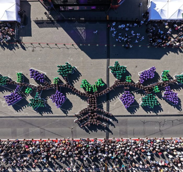 493 people forming the world’s largest human image of a grapevine, National Wine Day 2026, Chișinău (photo: MOLDPRES)