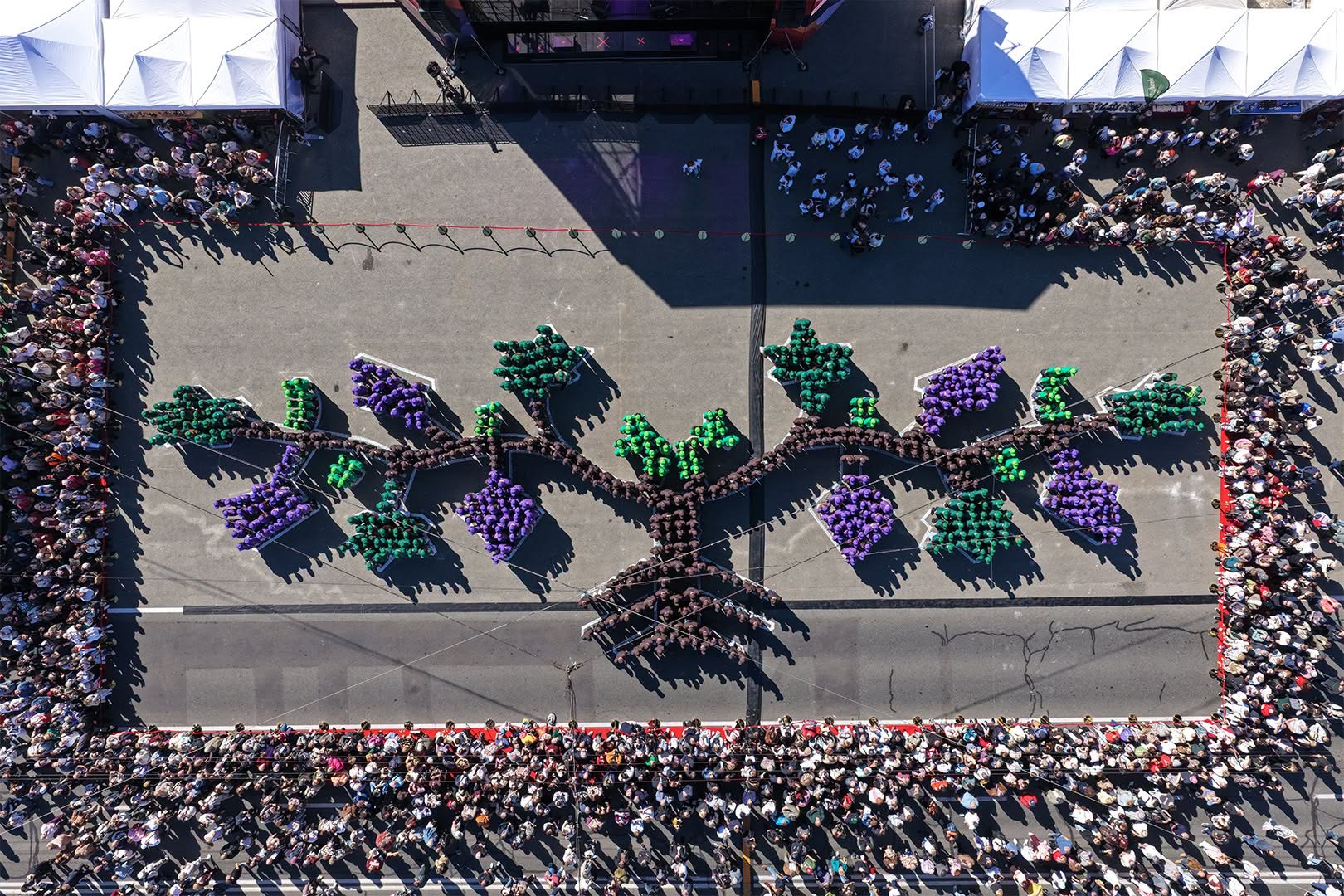 493 people forming the world’s largest human image of a grapevine, National Wine Day 2026, Chișinău (photo: MOLDPRES)
